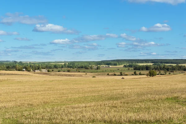 Natural meadows under summertime cloudy sky in Poland — Stock Photo, Image