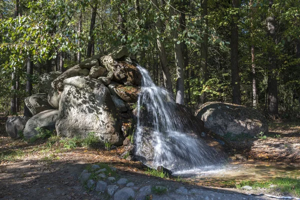 Piccola cascata nella Puszcza Knyszynska in Polonia — Foto Stock