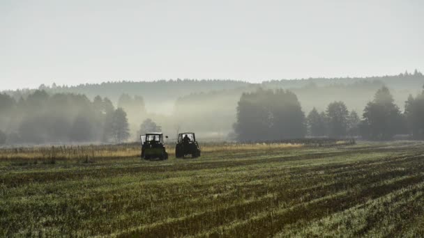 Tachuelas de tractor en un campo de trigo dorado en Polonia — Vídeo de stock