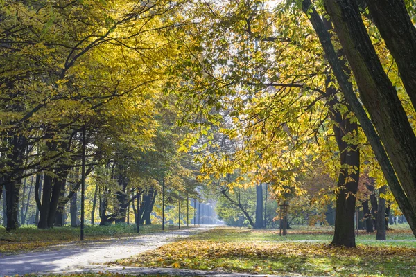 Droga w parku miejskim jesień — Zdjęcie stockowe
