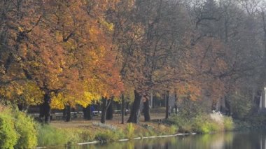 Royal Łazienki Parkı Güz, Varşova, Polonya.