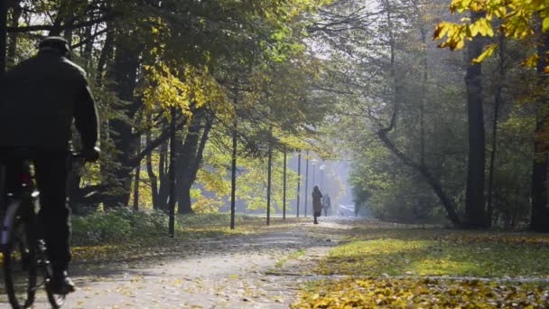 Royal Lazienki Park in autumn time — Stock Video