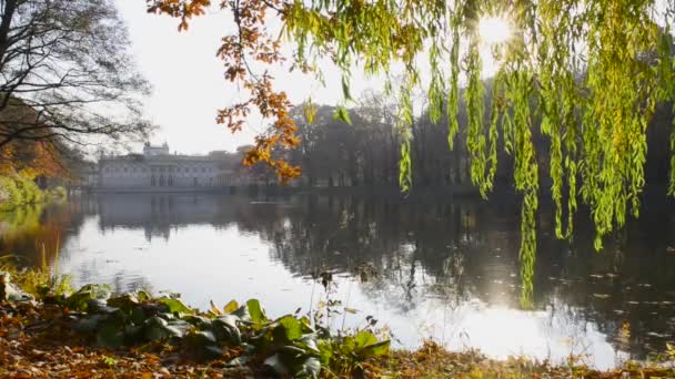 Koninklijk Paleis op het water in lazienki park, Warschau — Stockvideo