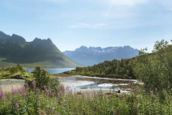 Hermoso paisaje de las islas Lofoten — Foto de Stock