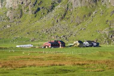 Küçük çiftlikte Lofoten Adaları, Norveç
