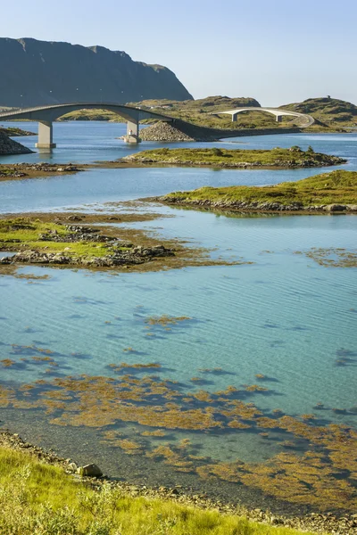 Bruggen in Lofoten Islands, Noorwegen — Stockfoto