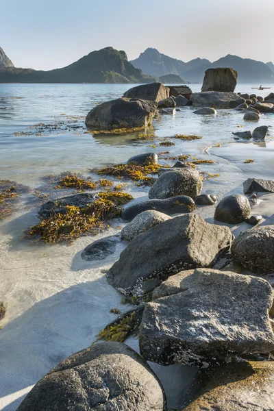 Costa rocciosa sulle isole Lofoten, Norvegia — Foto Stock