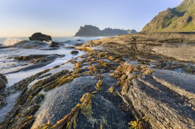 Utakleiv beach, Lofoten Adası uzun kıyı şeridi, Norveç