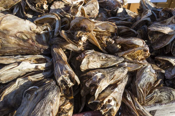 Suchý hlavy stockfish COD — Stock fotografie