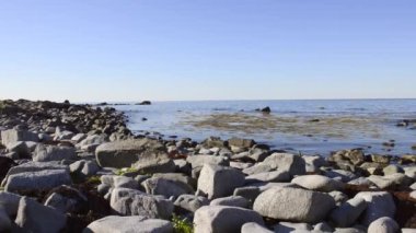 Lofoten Adaları üzerinde kayalık sahil şeridi