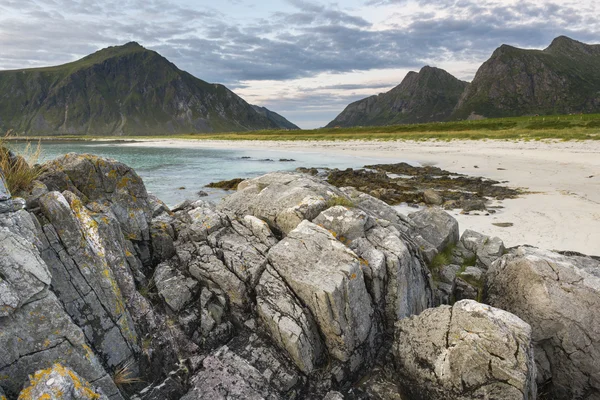 Litorale roccioso sulle isole Lofoten , — Foto Stock