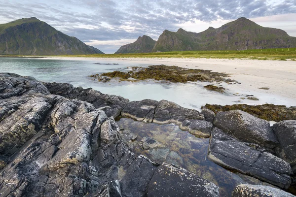 Litorale roccioso sulle isole Lofoten , — Foto Stock