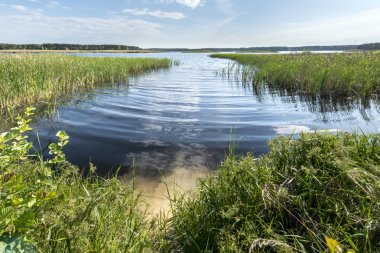 Ormandaki büyük göl. 