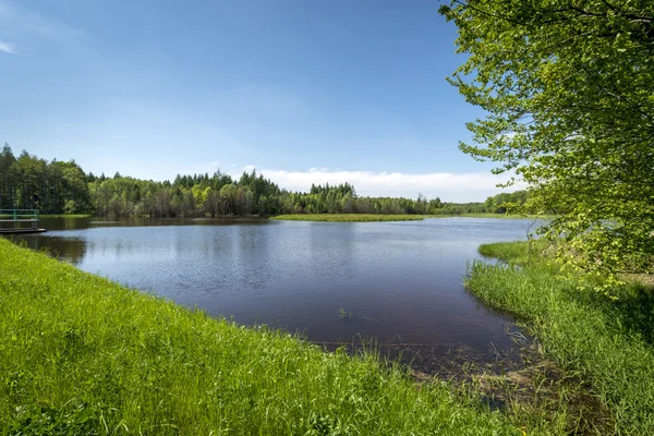 Petit lac dans la forêt, Sud de la Pologne — Photo