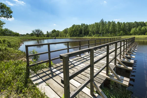 Muelle de madera en el lago — Foto de Stock