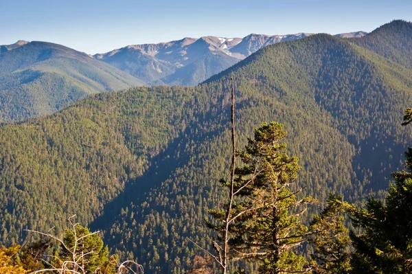 Hurricane Ridge — Stockfoto