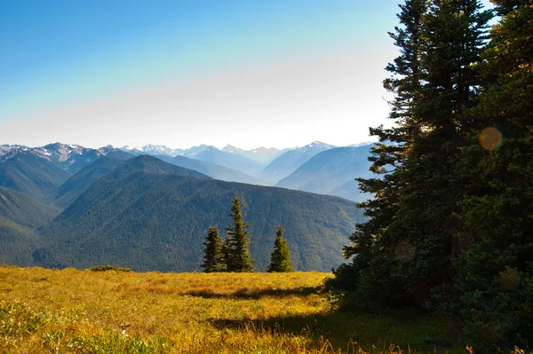 Hurricane Ridge — Stock Photo, Image