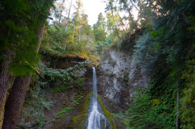 Marymere Falls, Wa devlet