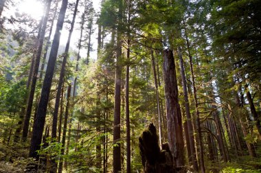 Olimpiyat yarımada, Wa devlet