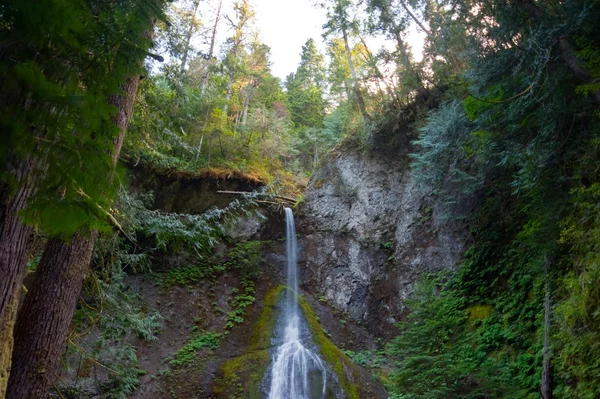 Marymere Falls, WA state — Stock Photo, Image