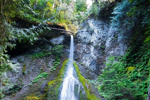 Marymere Falls, Wa Państwa Zdjęcia Stockowe bez tantiem