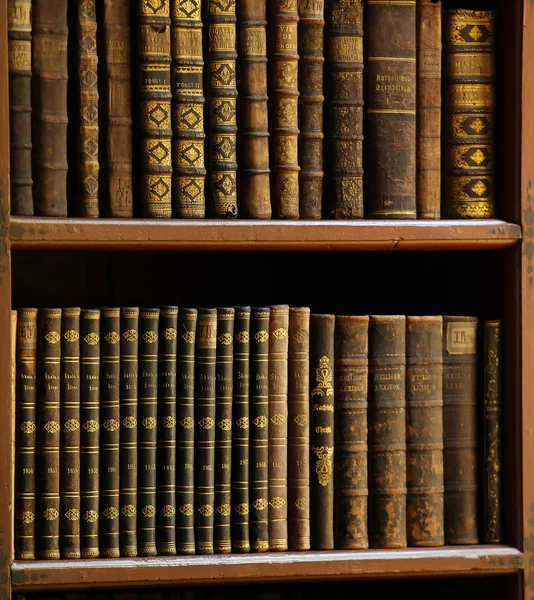 Старі книги в бібліотеці Праги — стокове фото