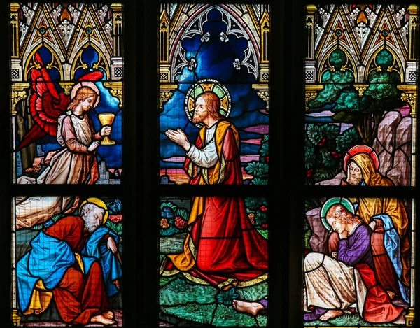 Vitray - Bahçe Gethsemane İsa