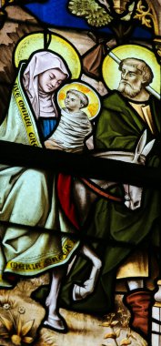 Vitray - Mısır'a uçuş