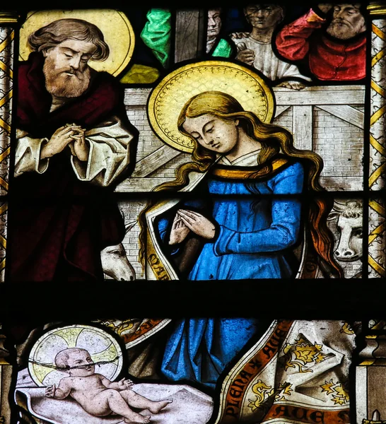 Stained Glass - Nativity Scene at Christmas — Stock Photo, Image