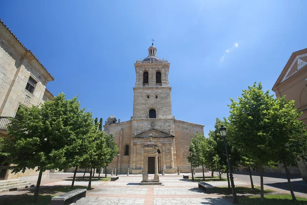 Ciudad Rodrigo kathedraal — Stockfoto