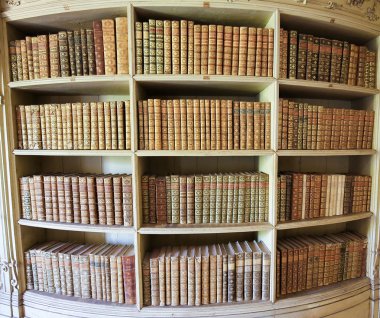 Mafra Sarayı Kitaplığı'nda eski kitaplar