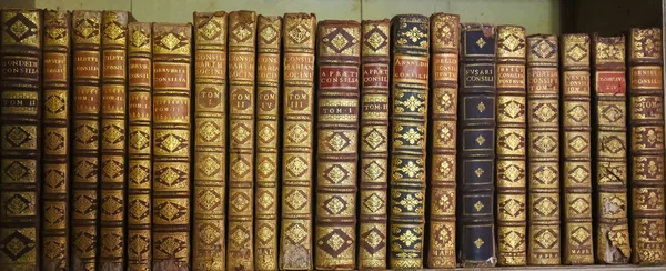 Livres anciens dans la bibliothèque du Palais Mafra — Photo