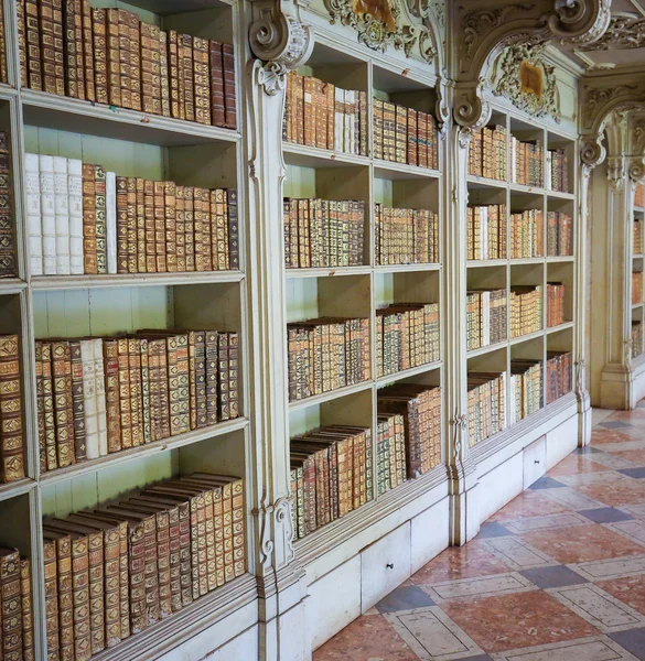 Oude boeken in Mafra Palace bibliotheek — Stockfoto