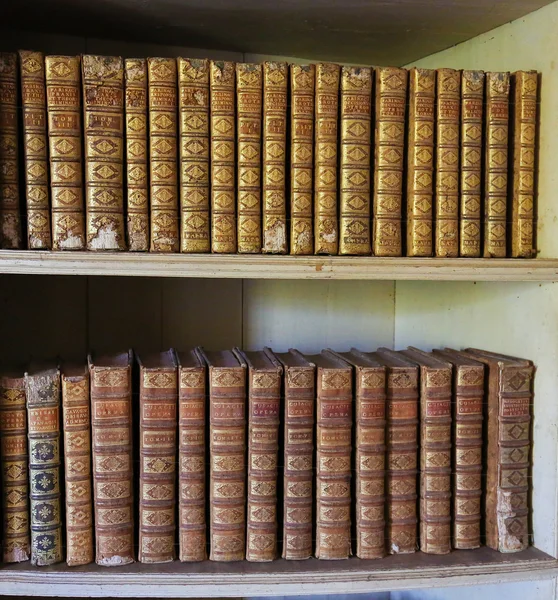 Gamle bøker i Mafra Palace Library – stockfoto