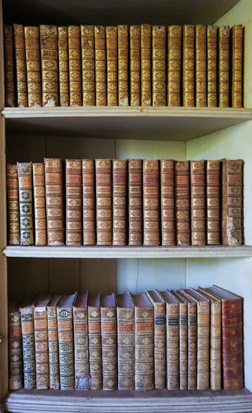 Gamla böcker i Mafra Palace-biblioteket — Stockfoto