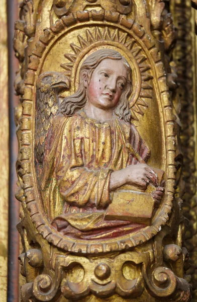 Άγιος Ιωάννης ο Ευαγγελιστής, τον καθεδρικό ναό του Aveiro, Centro, Πορτογαλία — Φωτογραφία Αρχείου