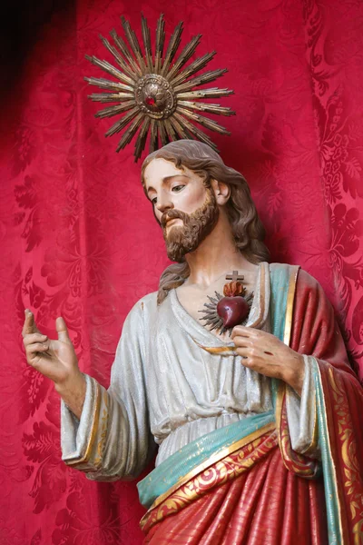 Sagrado Corazón de Jesús, Catedral de Aveiro, Región Centro, Portu — Foto de Stock