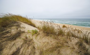 Costa Nova, Aveiro, Centro bölgesine, Portekiz