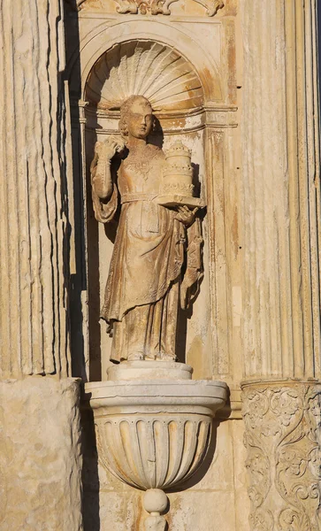 Staty vid universitet i Coimbra, Portugal — Stockfoto