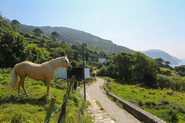 San Andres de Teixido — Stock Photo, Image