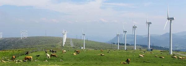 风电场 — 图库照片