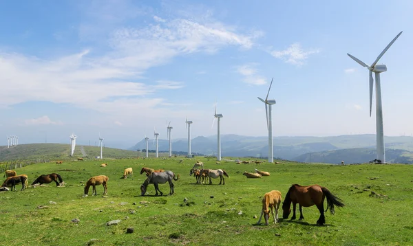 Wind farm — Stock Photo, Image