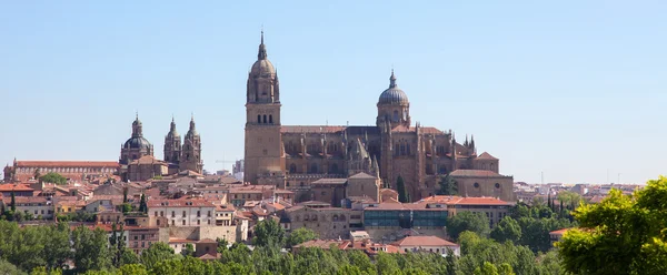 Ciudad Rodrigo — Stock Photo, Image