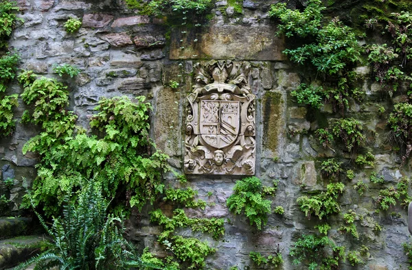 Hondarribia — Stok fotoğraf