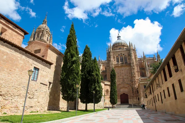 Nueva Catedral de Salamanca, España — Foto de Stock