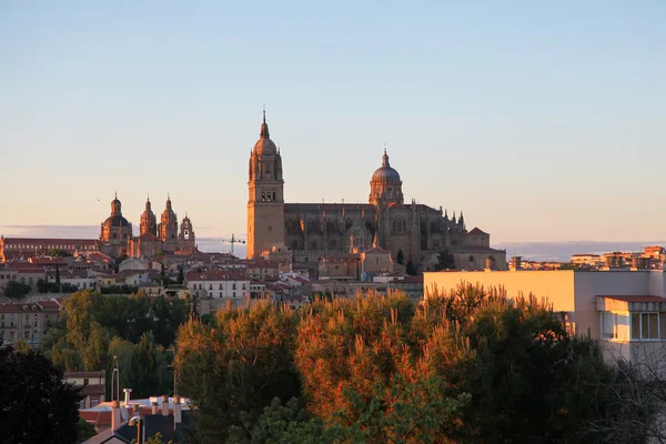 Salamanca — Foto de Stock