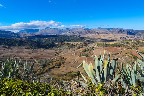 Ronda, Andaluzja, Hiszpania — Zdjęcie stockowe