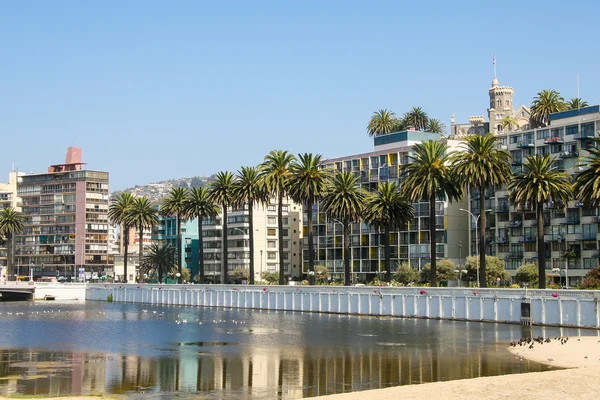 Schloss Wulff und Palmen im Zentrum von vina del mar, Chile — Stockfoto