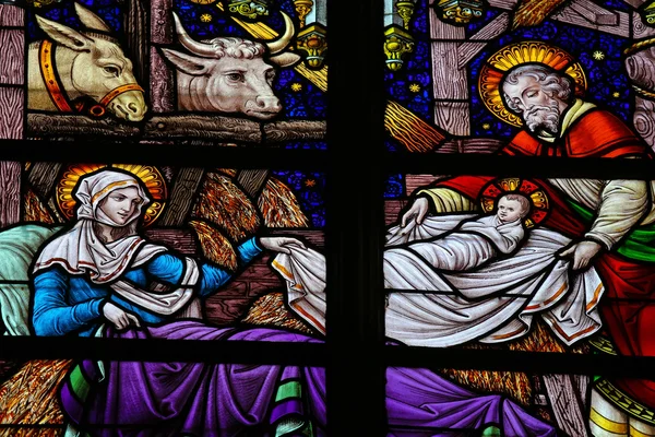 Nativity Scene Stained Glass — Stock Photo, Image