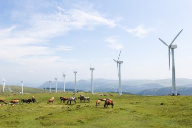 Rüzgar türbinleri üzerinde bir rüzgar çiftliği bulunan Galiçya, İspanya